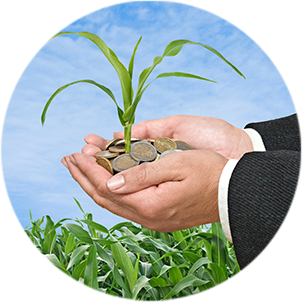 hands holding coins and a plant